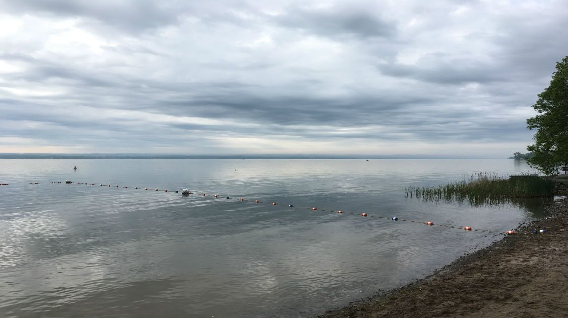 Monitor: Algal blooms in New York are getting worse - Vimarsana News